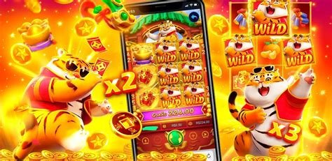 Feature overview cards for bdkkk sports privacy and entertainment sections